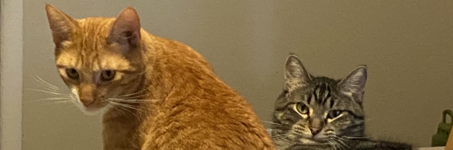 ryanisbliss's profile banner image