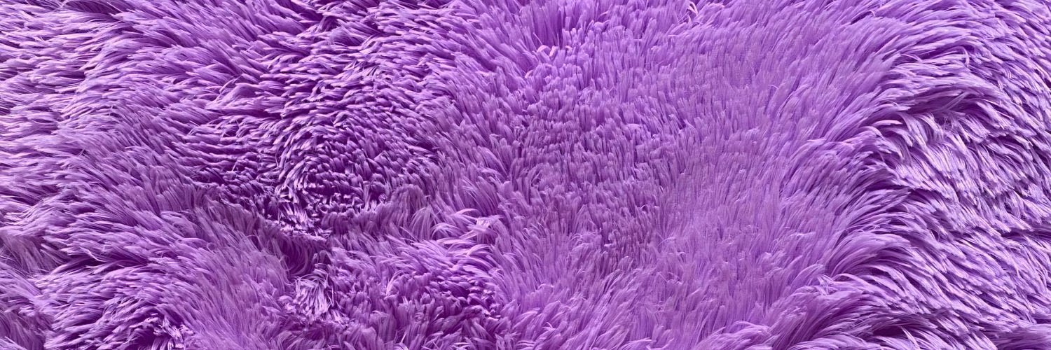 politesIV's profile banner image