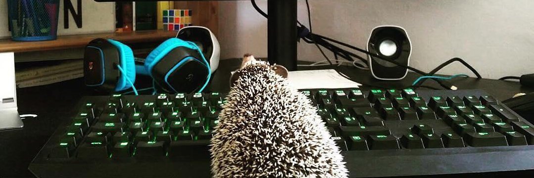 Naszos's profile banner image