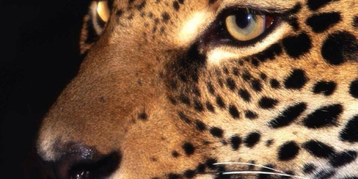 69ofktaar's profile banner image