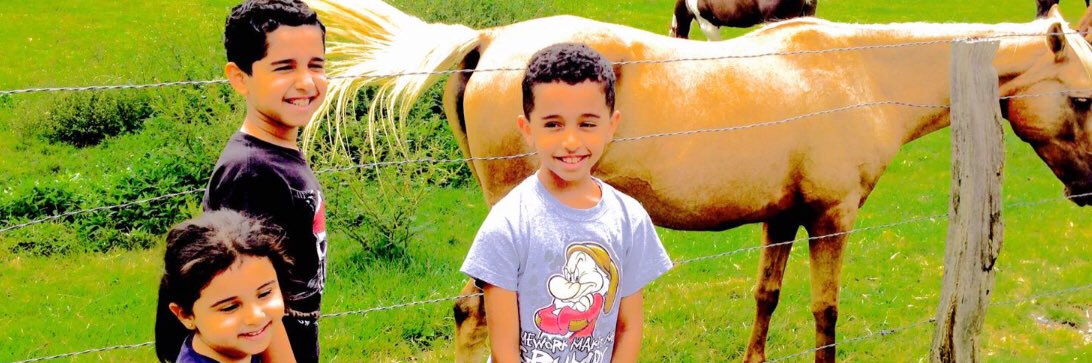 alfhdar's profile banner image