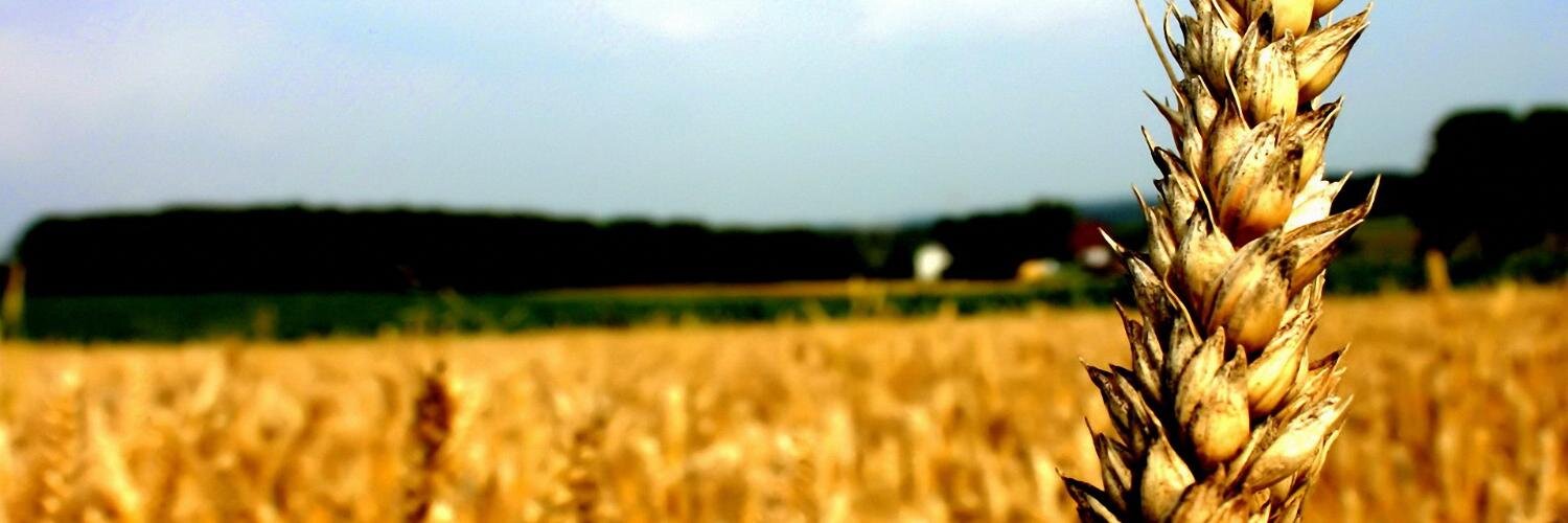 RuralDevNetwork's profile banner image
