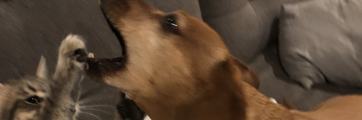 DrinkingCharlie's profile banner image
