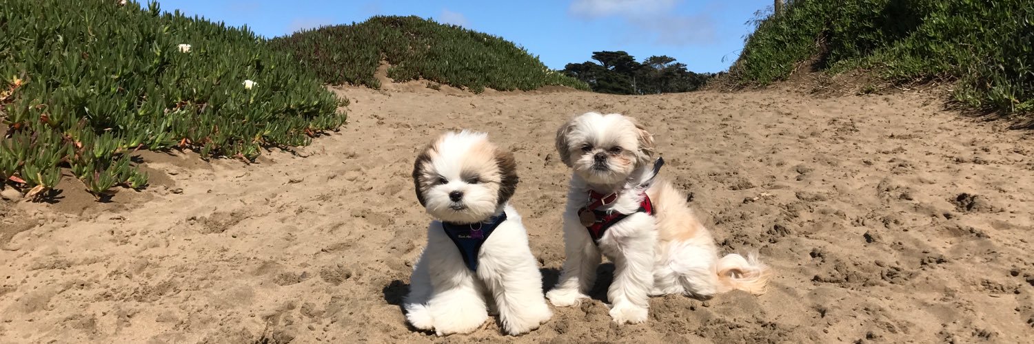Andrée Vermeulen banner