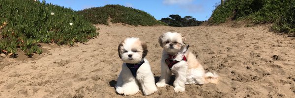 DreeAndree Profile Banner