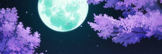 sobininava's profile banner image