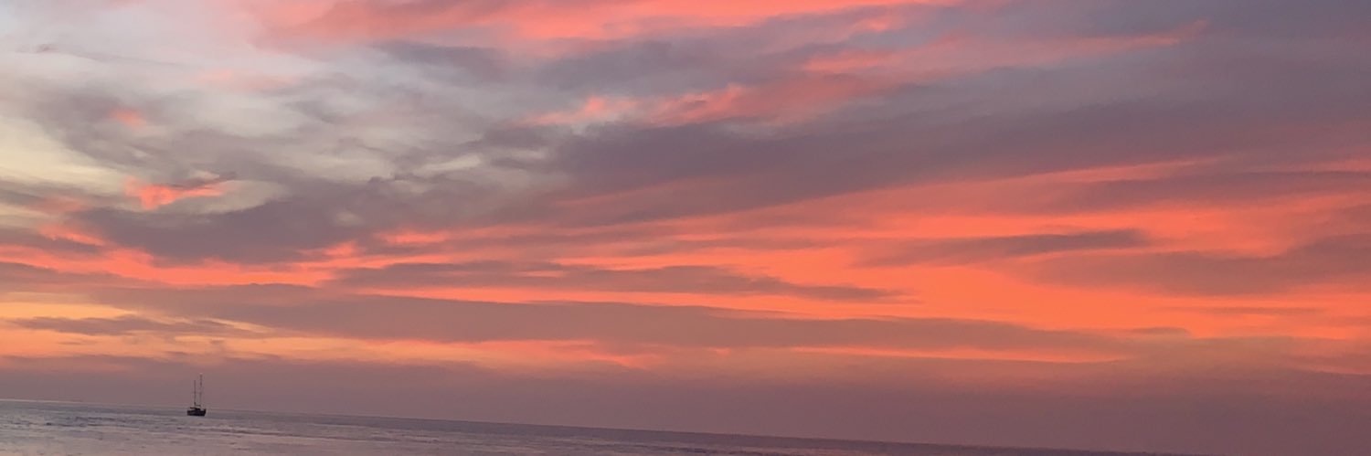 nv_dj's profile banner image