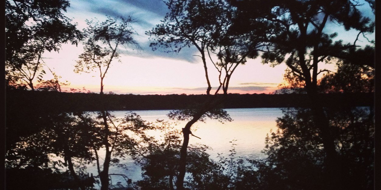 Michael Lepow banner