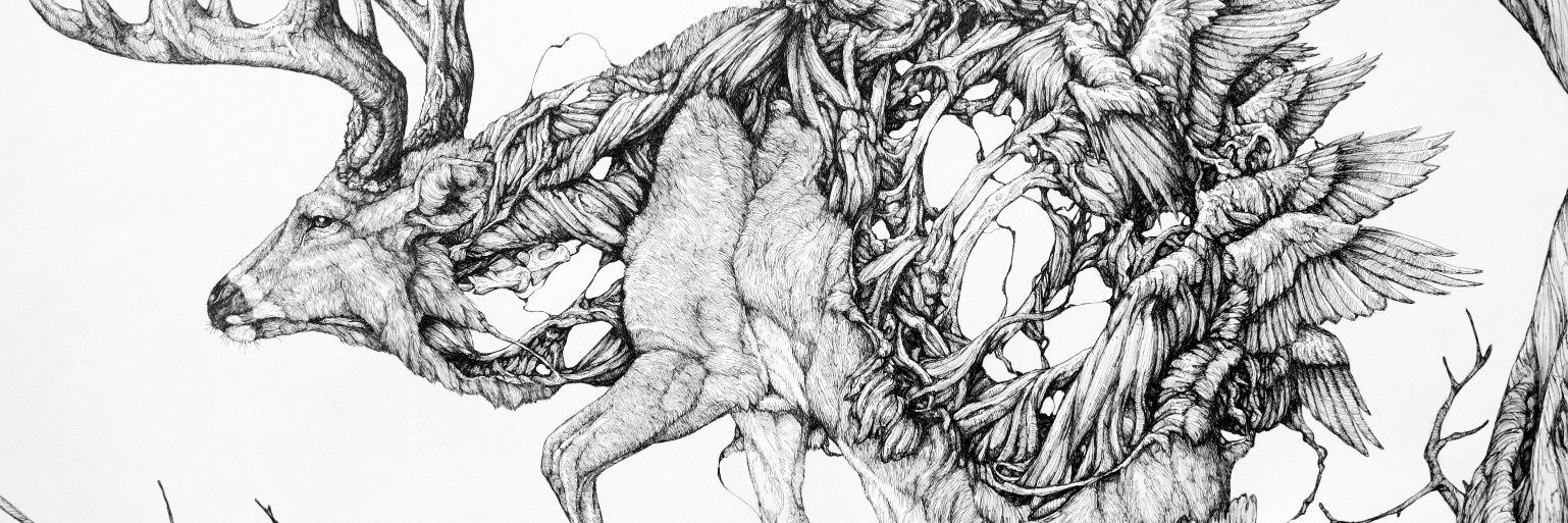 RubenPMorais's profile banner image