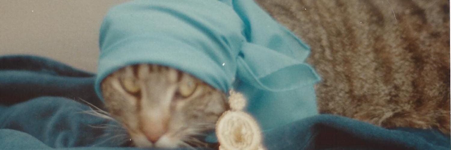 CatsofVelvet's profile banner image