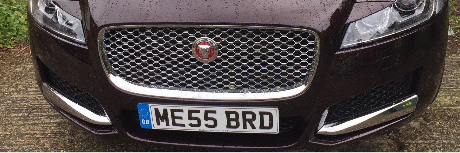 stevemessenbird's profile banner image