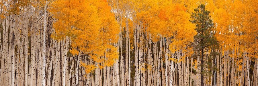 dmrgregory's profile banner image