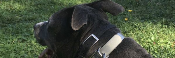 _iMakerz Profile Banner