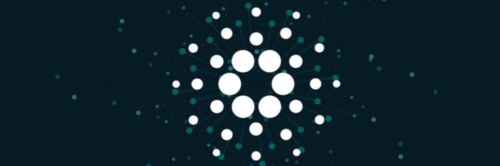 Xershy's profile banner image