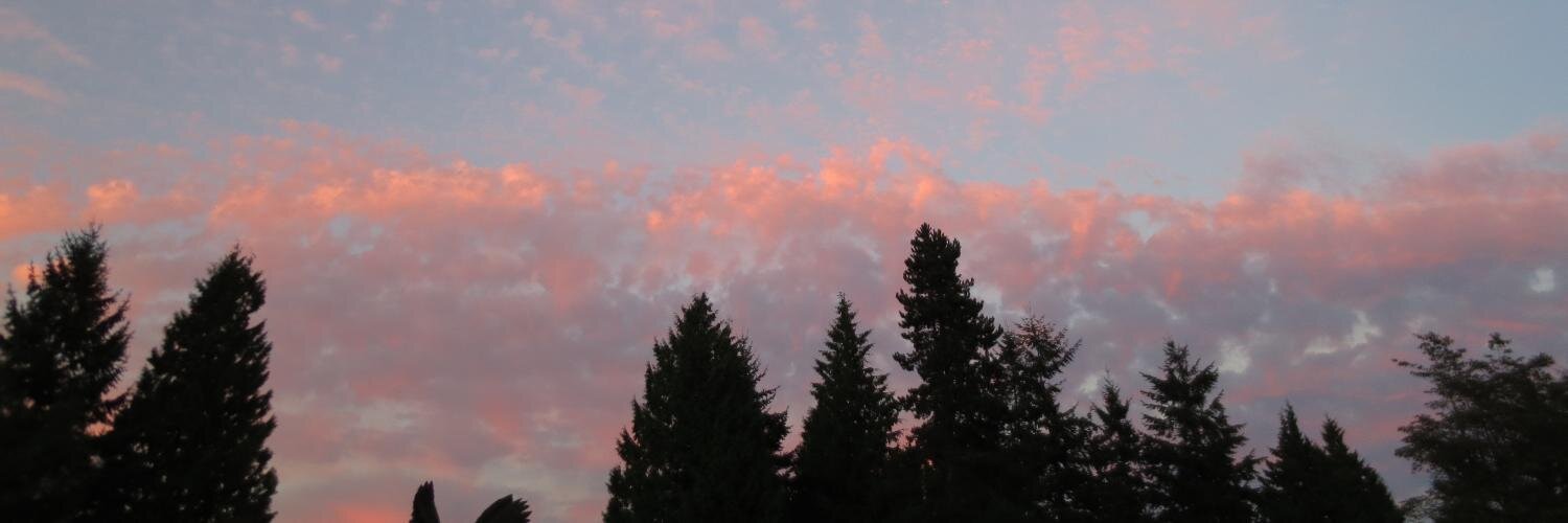 everseriousjill's profile banner image