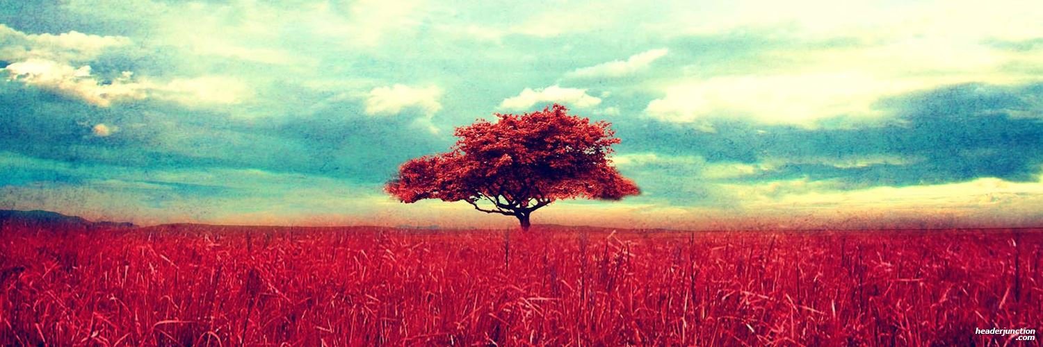 evangelinefan's profile banner image