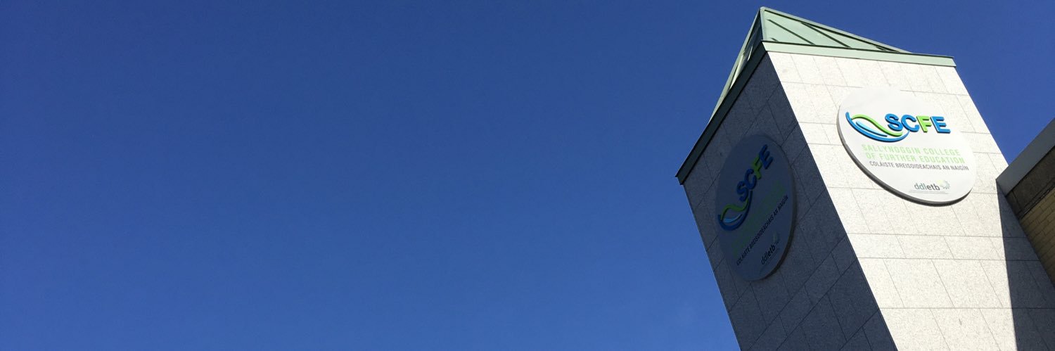 Sallynoggin College banner