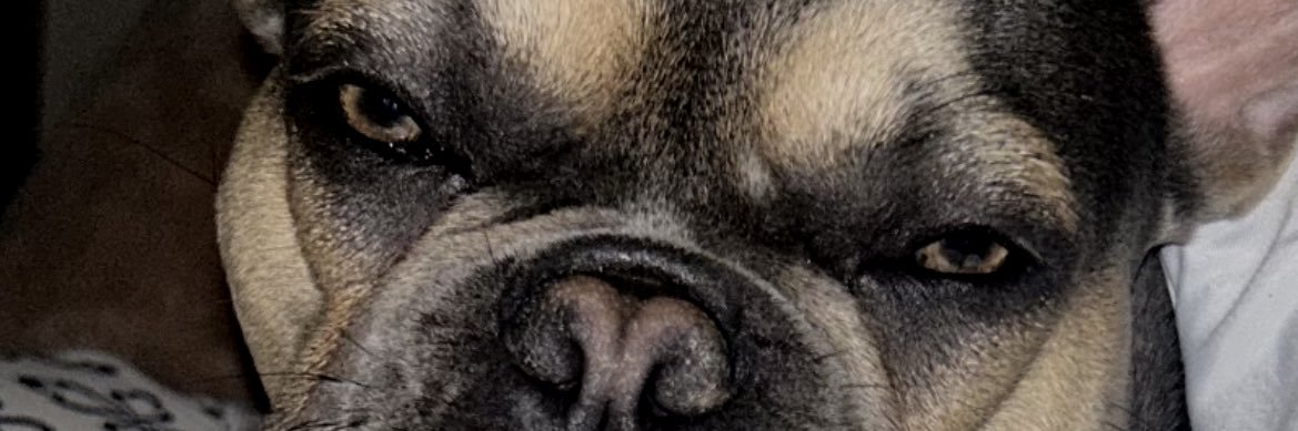 aynekwest's profile banner image