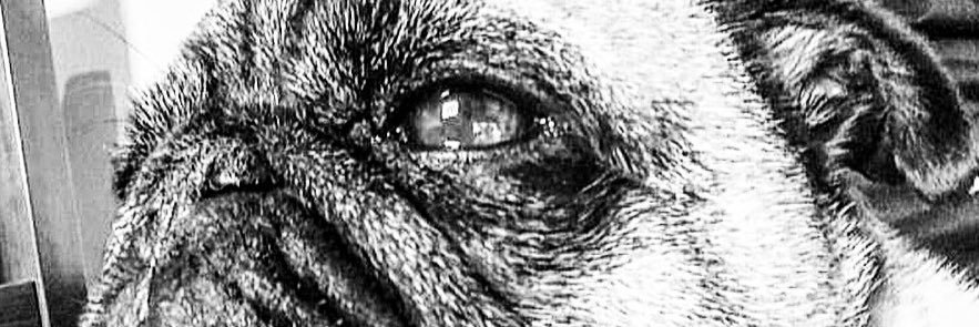 ImTomSquared's profile banner image