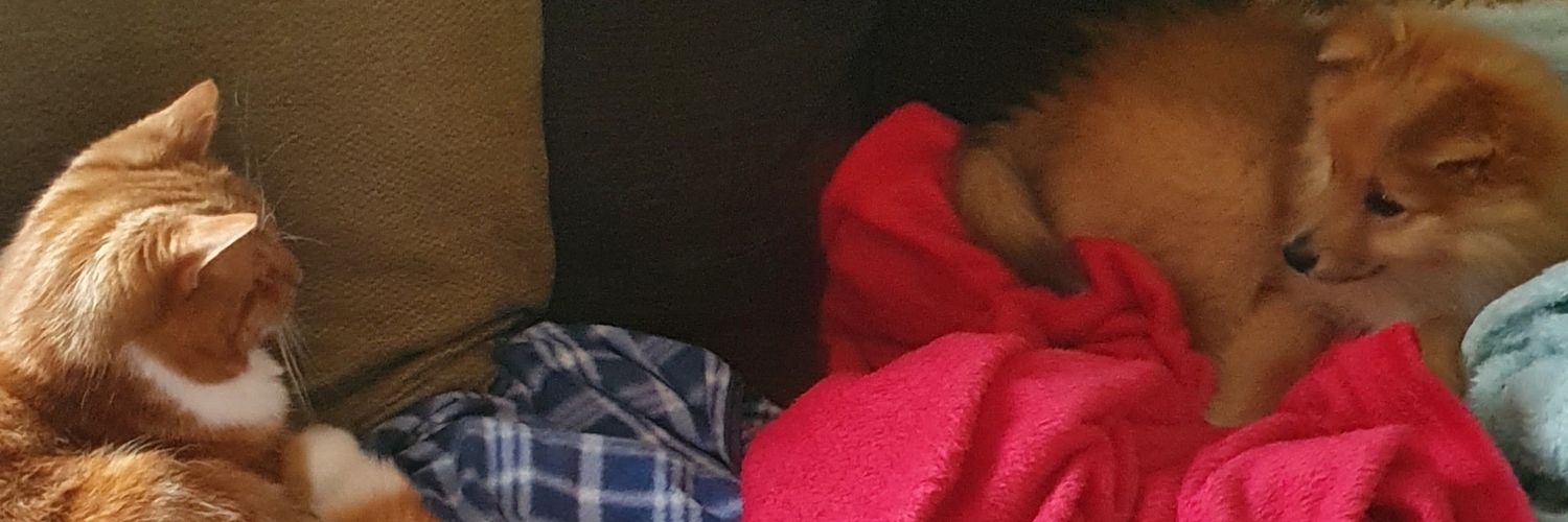 tmurcc's profile banner image