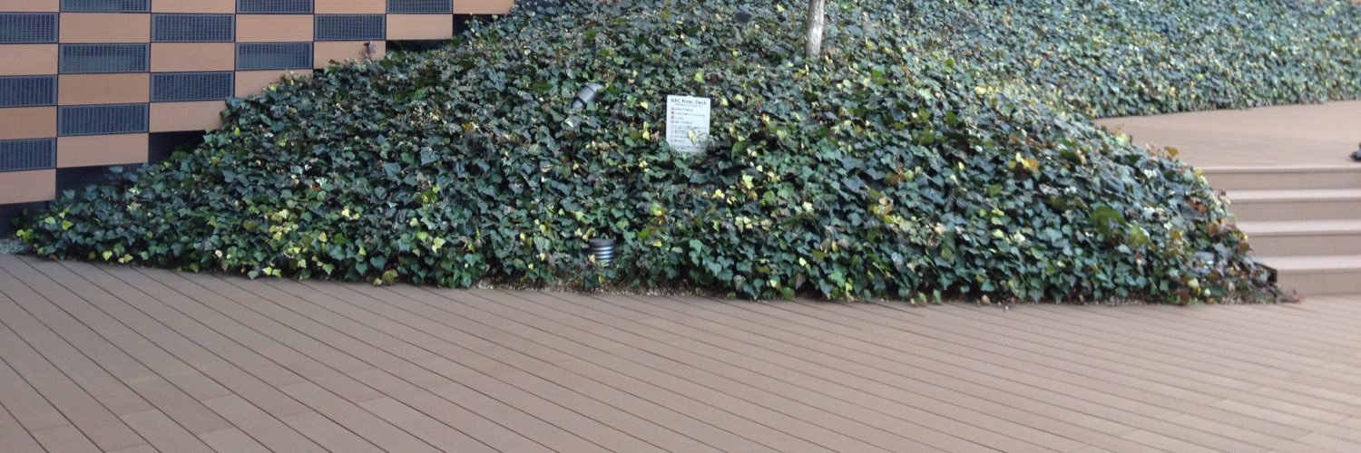 rikooomD's profile banner image