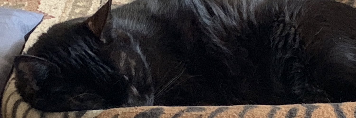 Secretkat3's profile banner image
