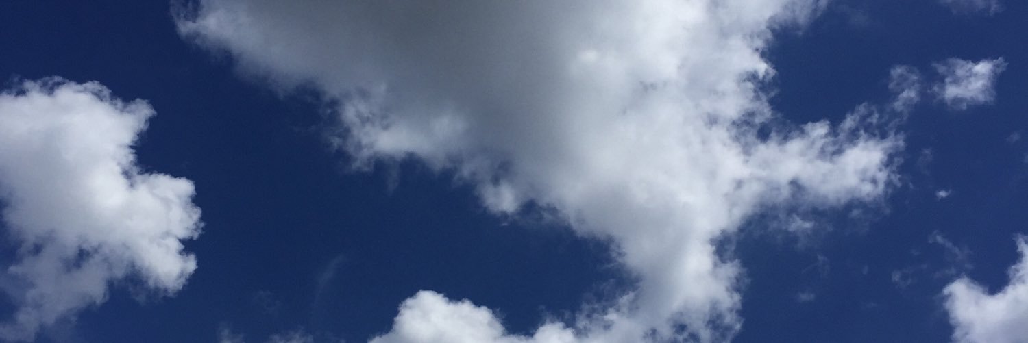 jraasch1's profile banner image