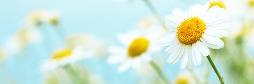 sdspecialneeds's profile banner image