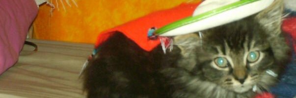 Exactlyunknown's profile banner image