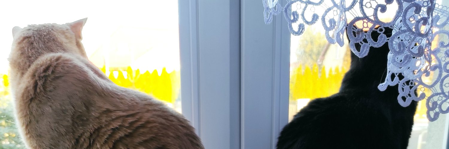 ciemaciema1's profile banner image