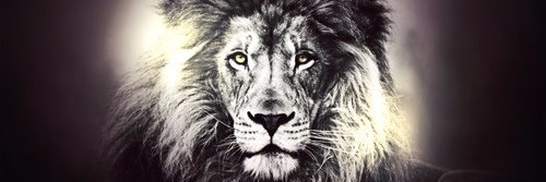 MarkusNilo's profile banner image
