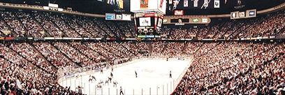 NJD x Sunny... banner