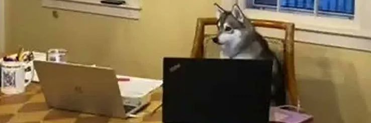 MtzrVictor's profile banner image