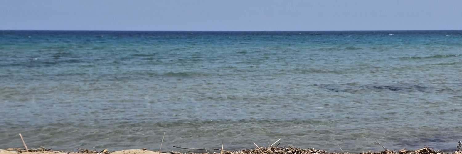 fafhunt's profile banner image