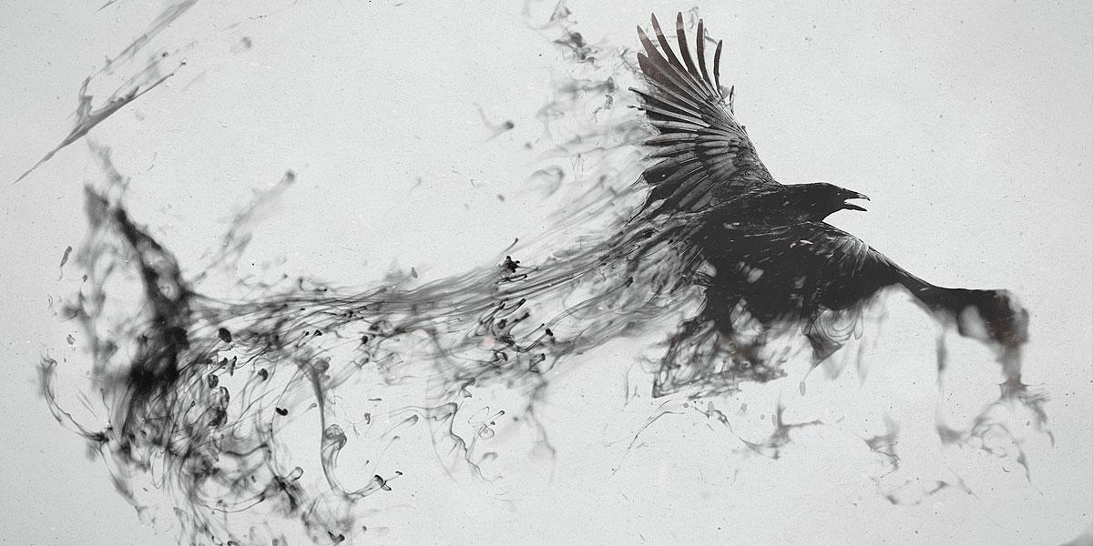 pieritoms's profile banner image