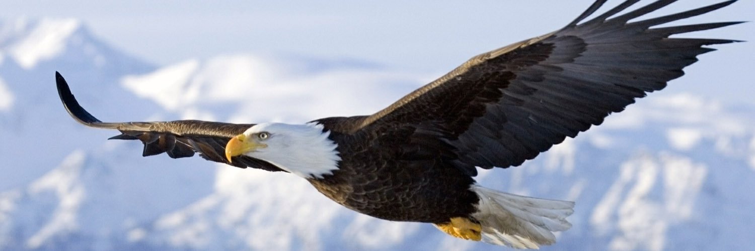 wolfzphd's profile banner image