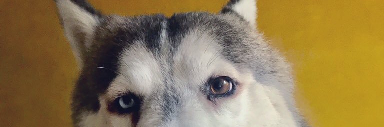 _dariog26's profile banner image