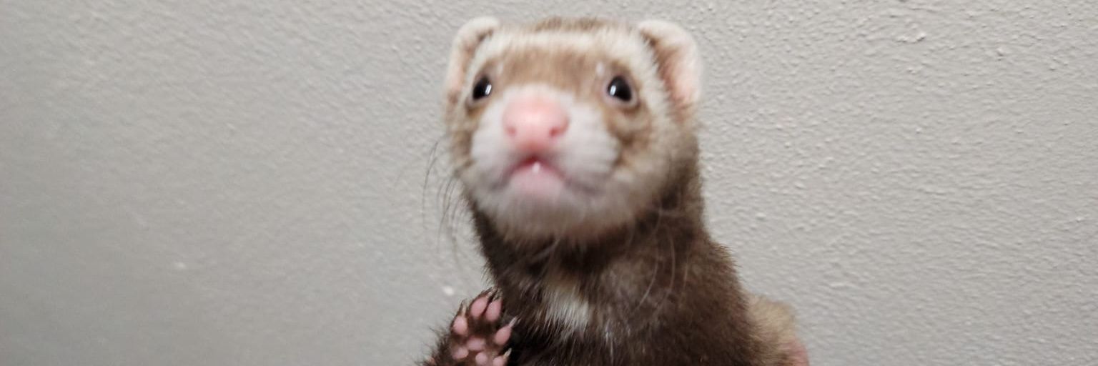 DevorahLynn's profile banner image