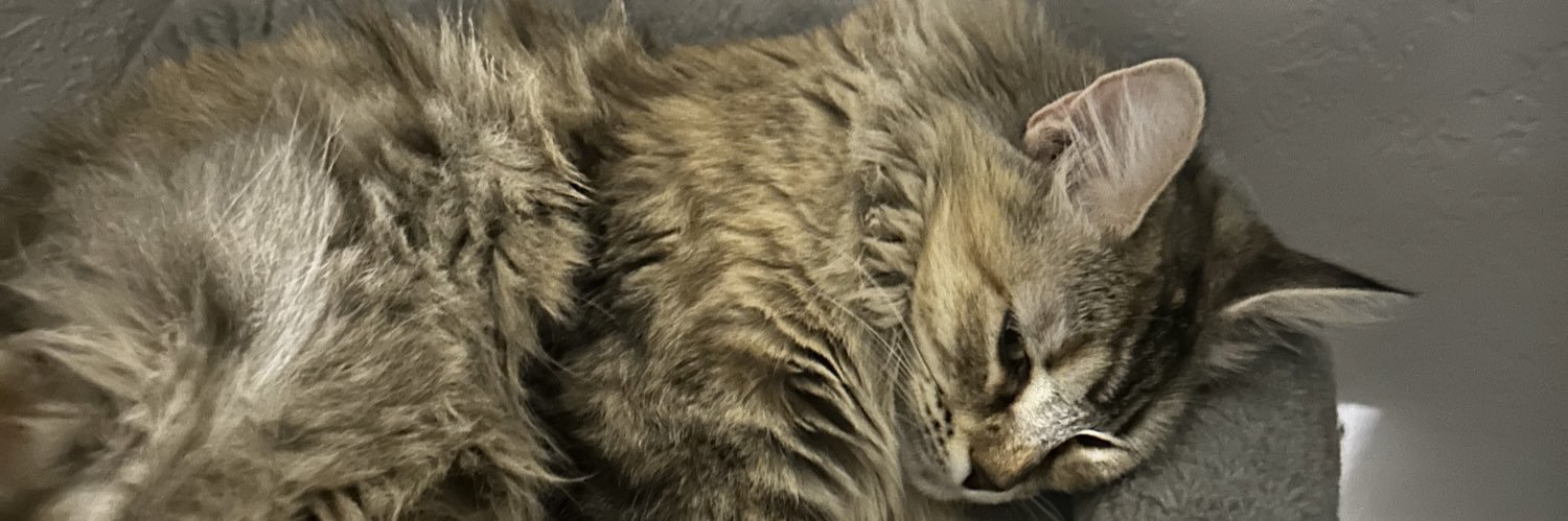 airboyyy's profile banner image