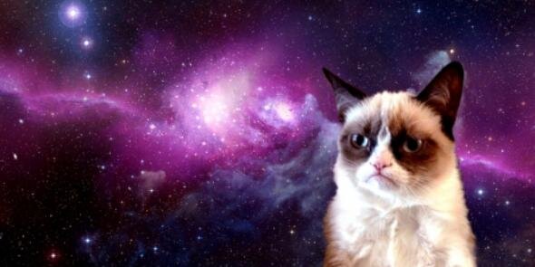 JuliaNicoll2's profile banner image