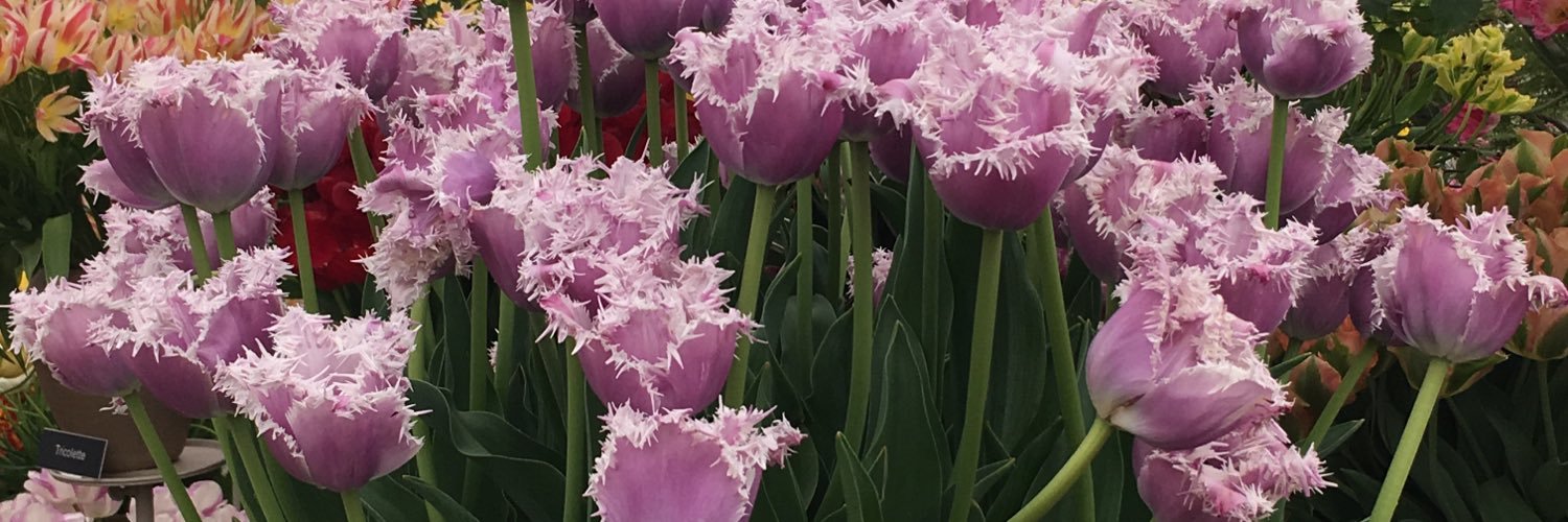 Cassi009's profile banner image