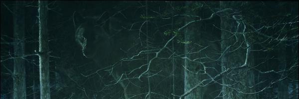 LitleSpark's profile banner image