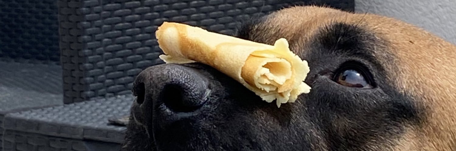 Thomas🇫🇷 banner