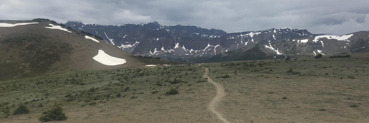 miedent's profile banner image