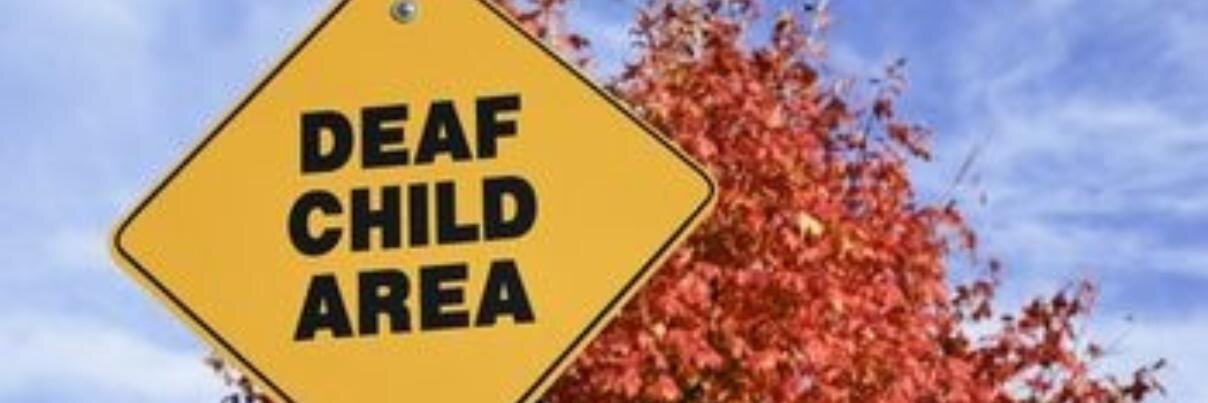 DeafEdAdvocate's profile banner image
