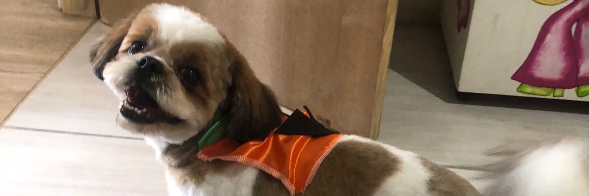 leoandrades_'s profile banner image