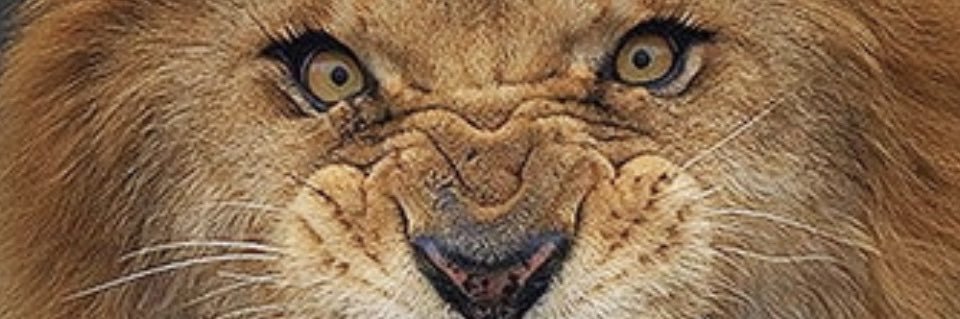BobbyStamps's profile banner image