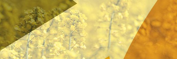 agchieve Profile Banner
