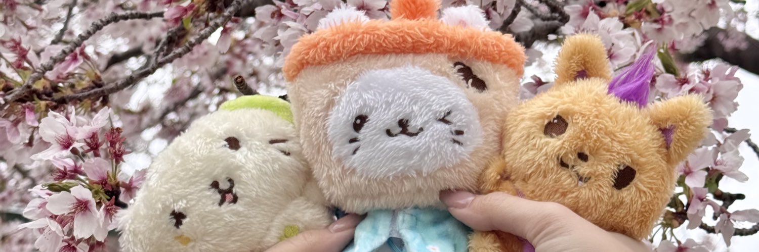 𝕁𝕦𝕟𝕚 🌟 banner