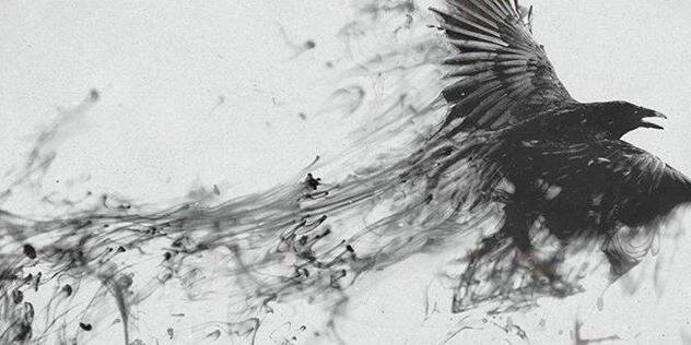 TajSaleem1's profile banner image